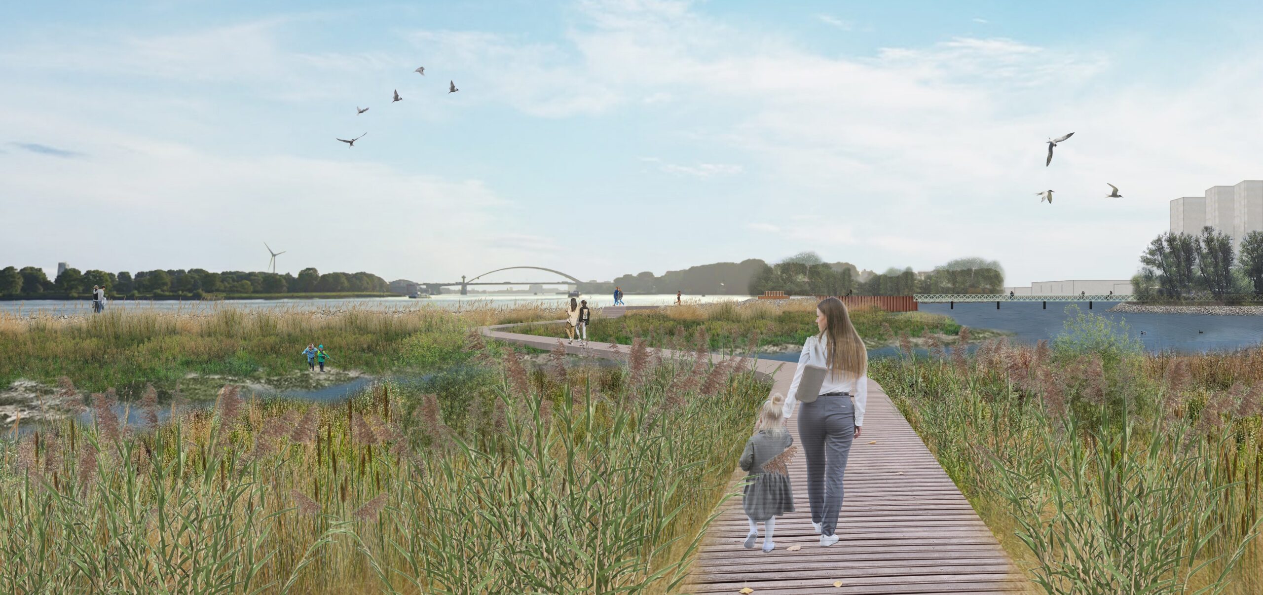  The tidal park will be a place of tranquility for everyone in the surrounding neighbourhoods. Concept by the Municipality of Rotterdam.