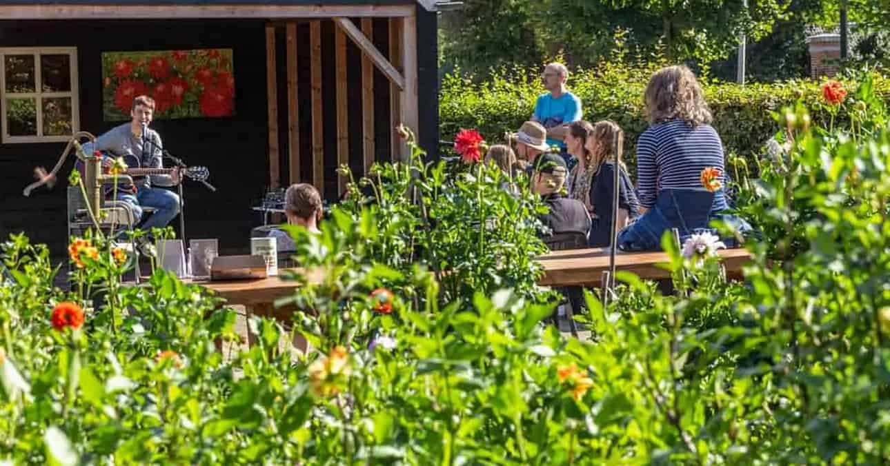 Open call for performers &amp; gardens for Struinen in de Tuinen