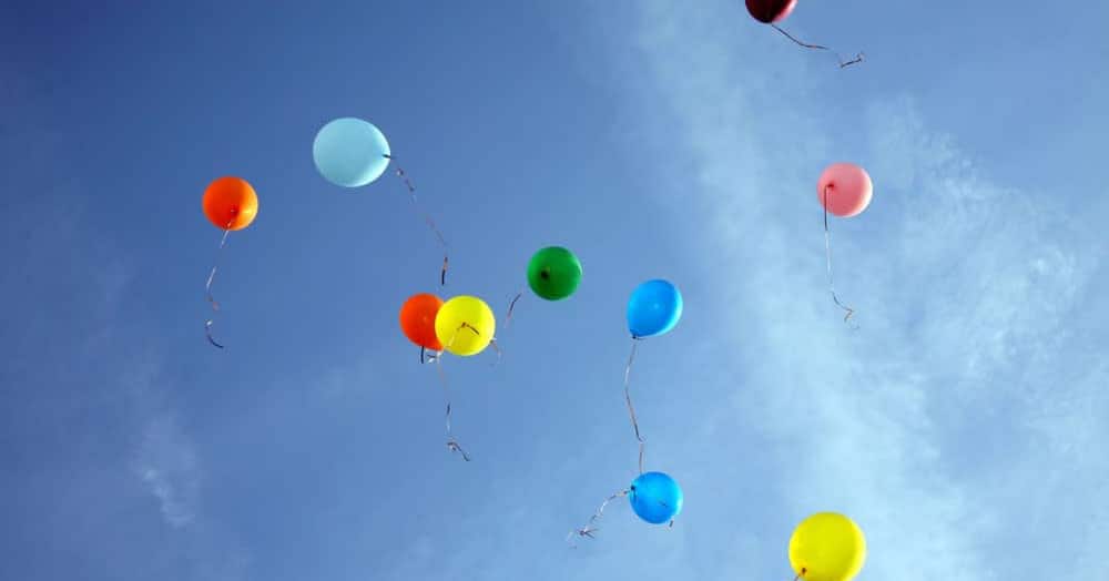 Rotterdam bans the releasing of balloons
