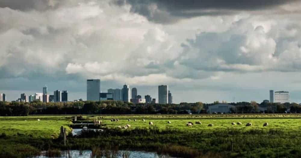 [VIDEO] Rotterdam in four seasons