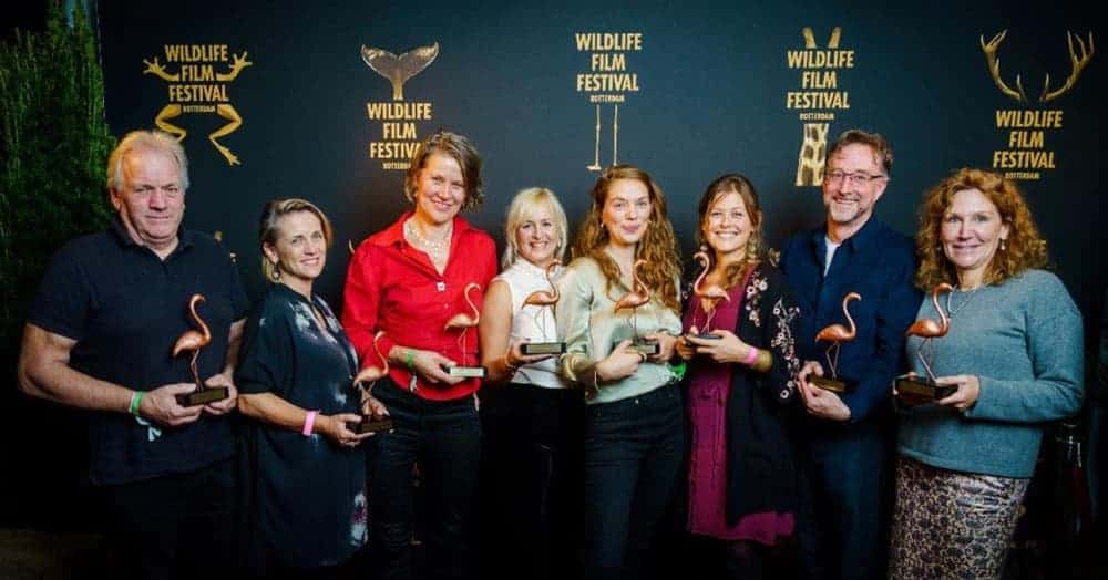 These are the winners of the 2019 Flamingo Awards at WFFR