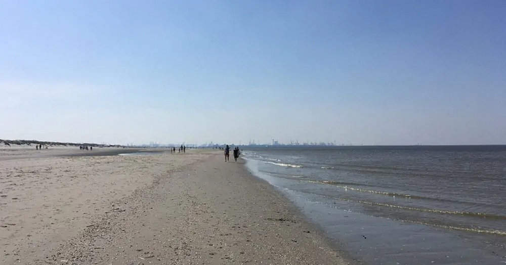 Beaches of Rotterdam - best spots for swimming and chilling