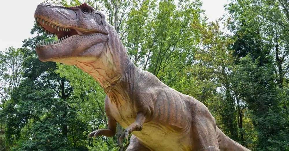 Come face to face with Dinosaurs in Jurassic Kingdom Schiedam