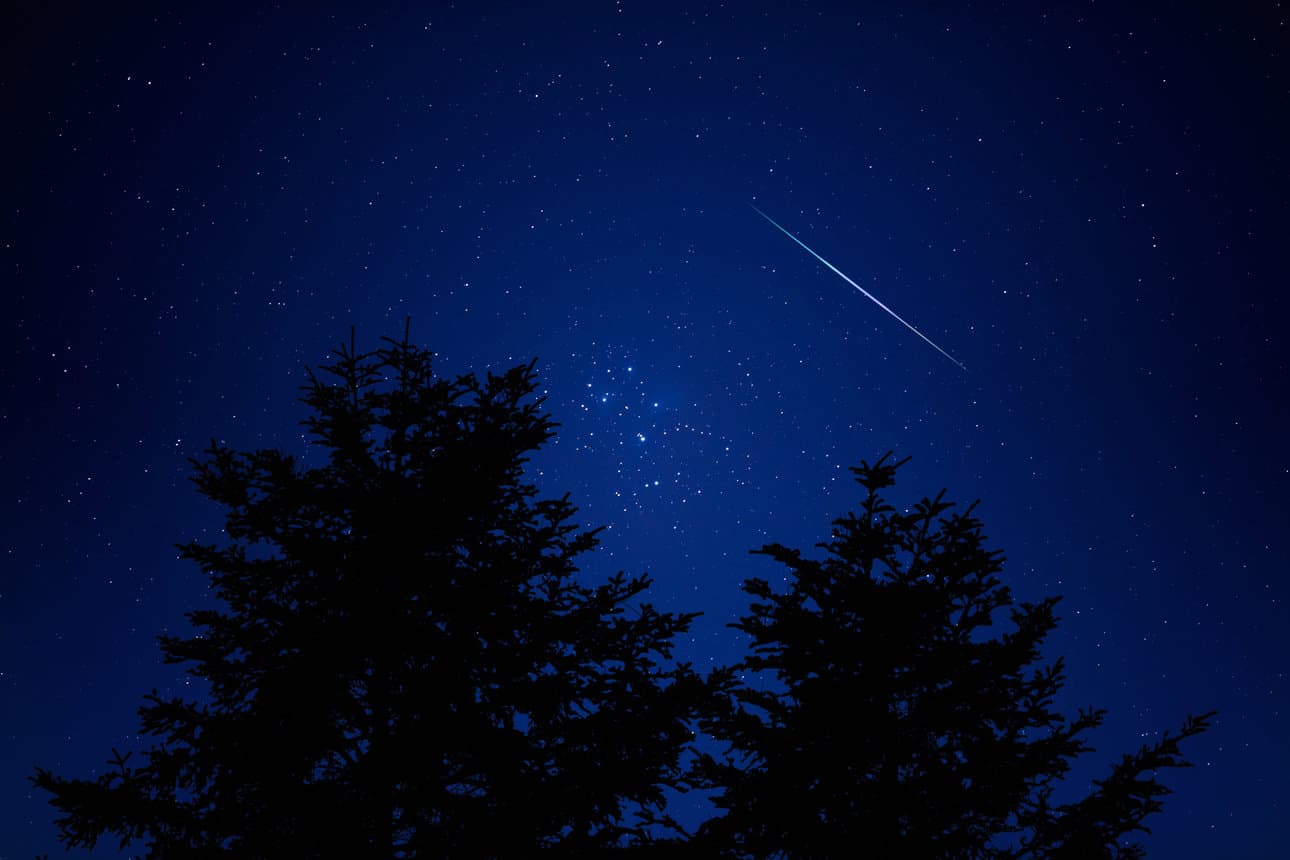 How to experience the Perseid meteor shower in Rotterdam