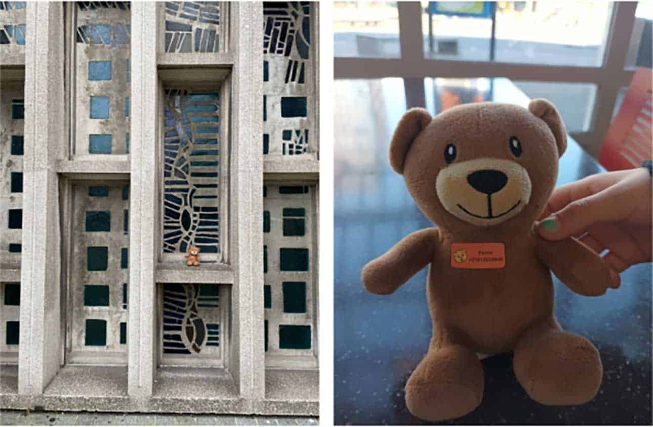 Teddy bear experiment: Rotterdam's response