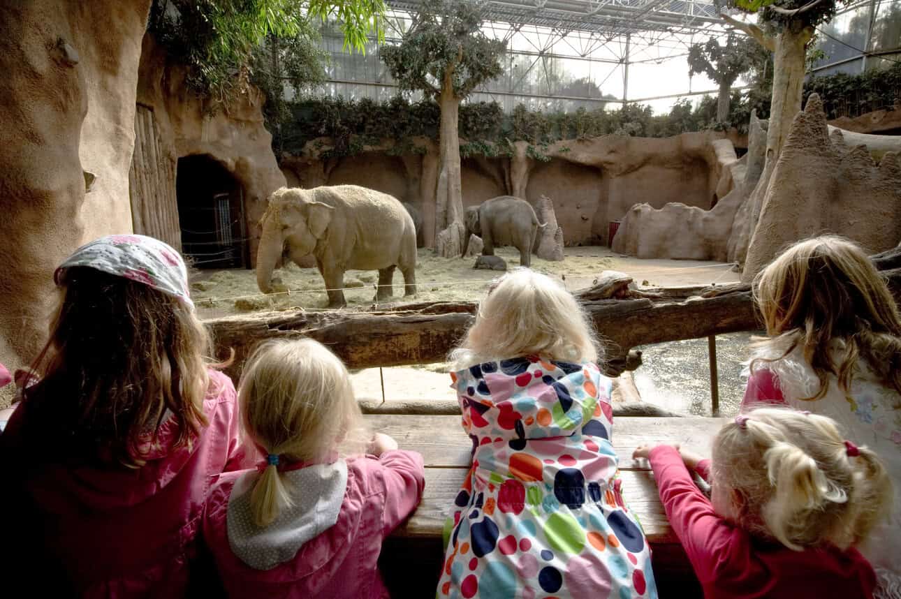 Rotterdam Zoo. Photo credit: Daarzijn