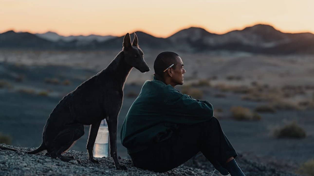 Film tip: Black Dog — man's best friend bites back