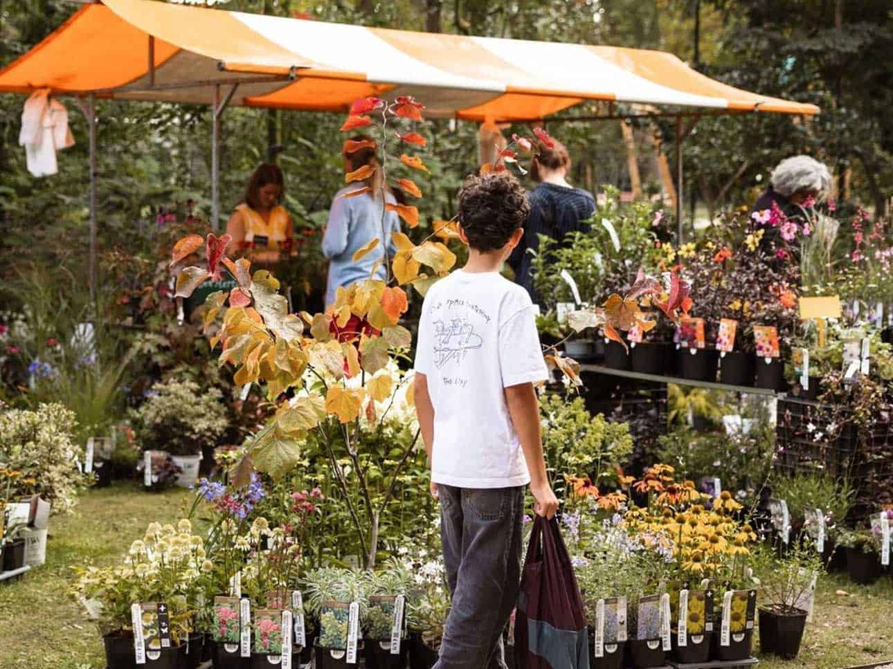 Plant Market at Trompenburg Gardens