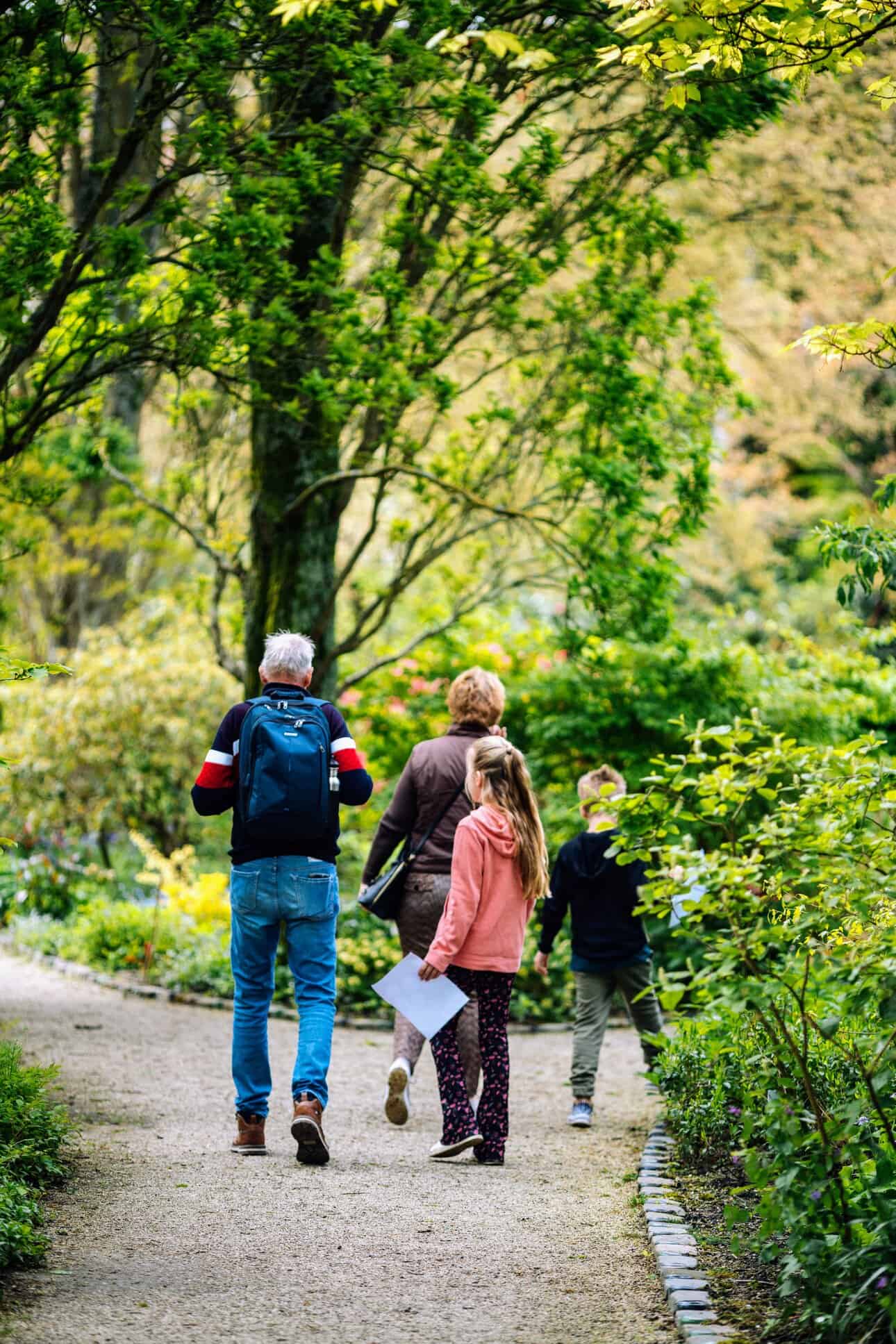Explore Trompenburg Gardens & Arboretum in Kralingen, where nature, culture, and sustainable design come together in one of Rotterdam’s greenest corners.
