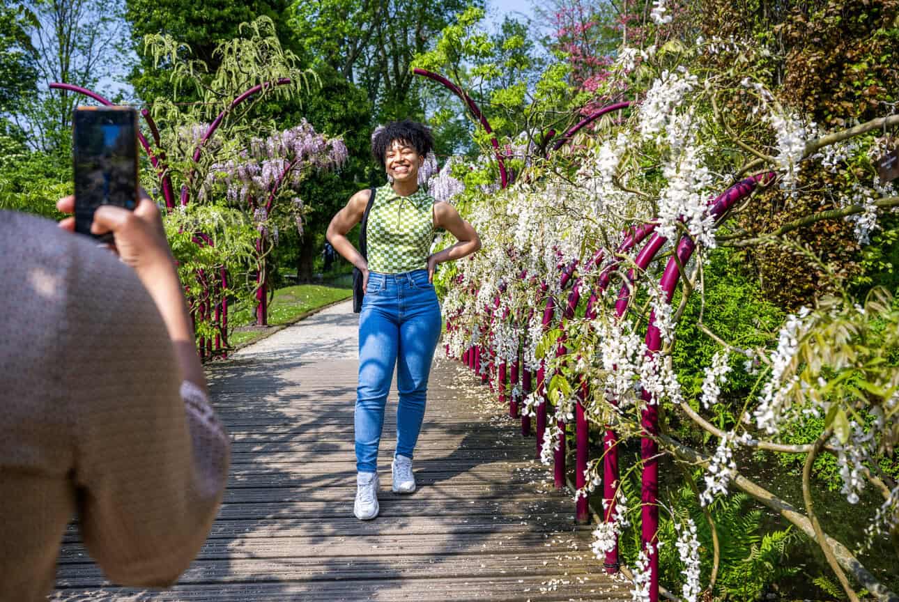 Explore Trompenburg Gardens &amp; Arboretum in Kralingen, where nature, culture, and sustainable design come together in one of Rotterdam’s greenest corners.