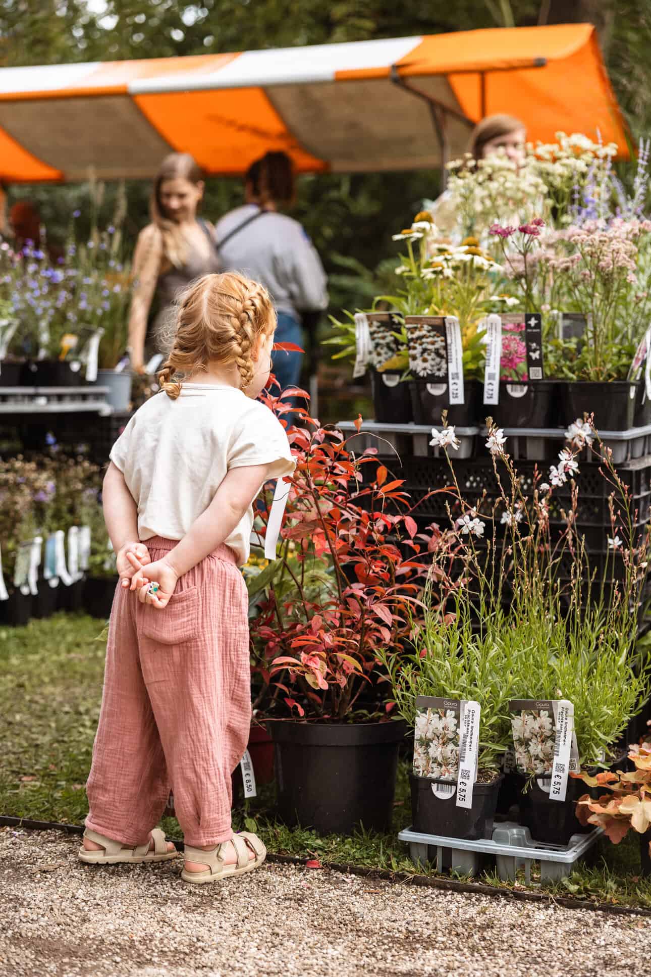 Plant market at Trompenburg in Rotterdam. Photo credit: Klik Klak Fotografie