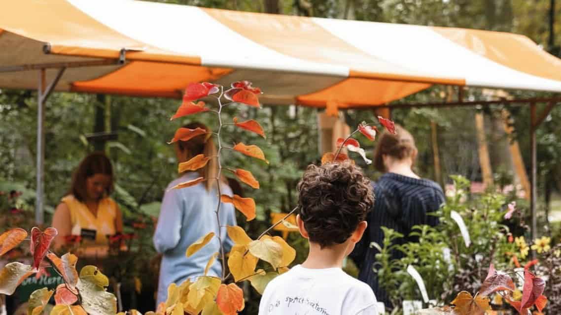 Rotterdam’s Trompenburg Gardens hosts a seasonal plant market with perennials, bulbs, herbs, and expert garden advice from local growers and students.