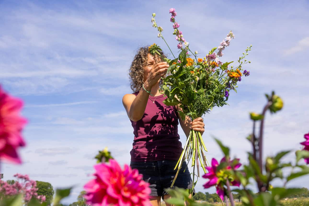 Florist Kore in Rotterdam is Skal-certified and now sells organic flowers. Discover where to buy sustainable flowers grown without pesticides.