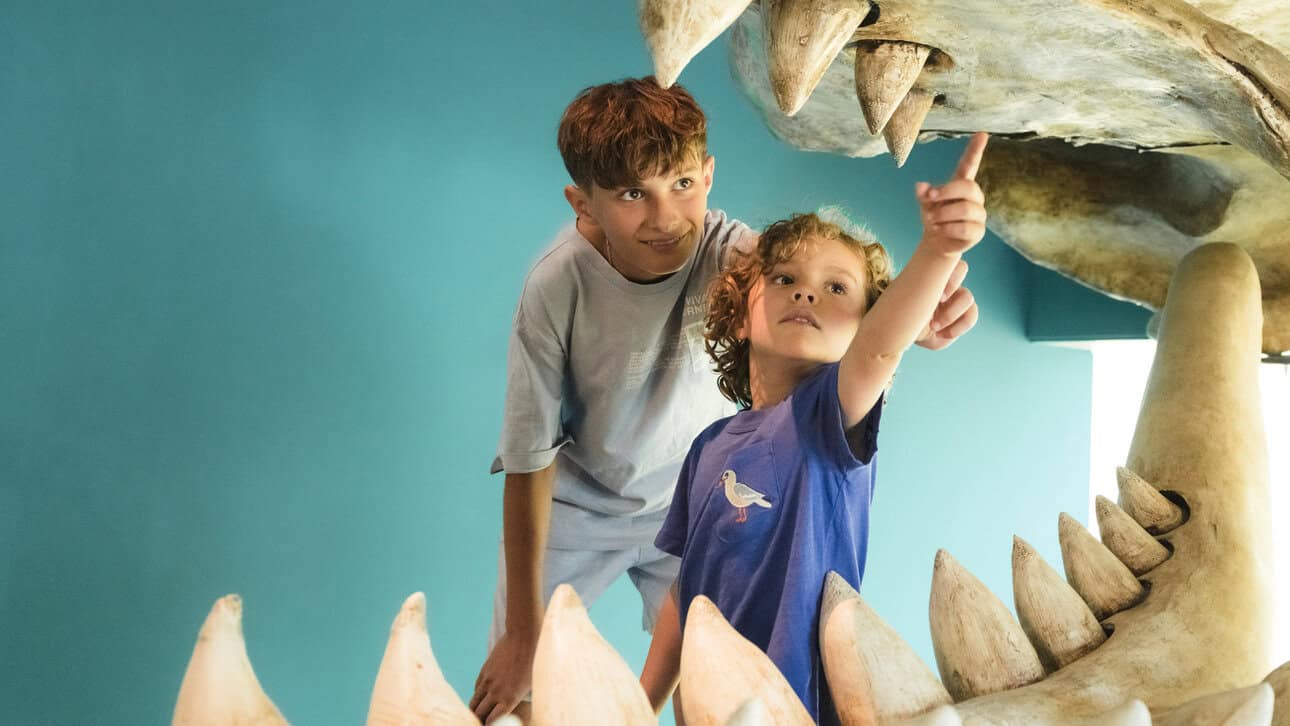 The fossil treasure hunt at the Natural History Museum Rotterdam runs until 31 October 2025. Kids discover fossils, mammoth teeth and more.