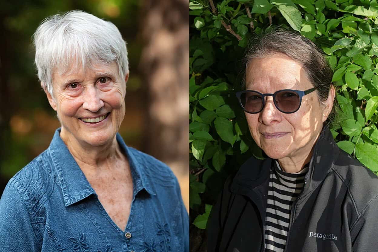 Nieuwe Instituut opens FUNGI. Anarchist Designers, featuring Donna Haraway, Anna Tsing and Rosi Braidotti in a conversation on more-than-human design.