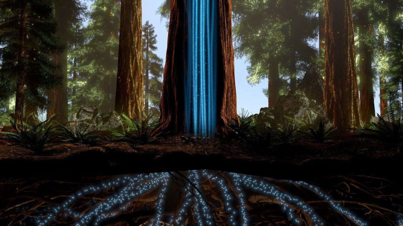 WFFR x Trompenburg: Giants Rising film screening