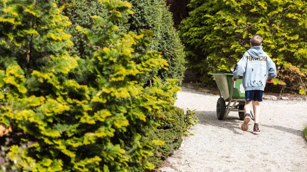 The biggest spring event on the calendar is the Lentefestival on Sunday 29 March 2026