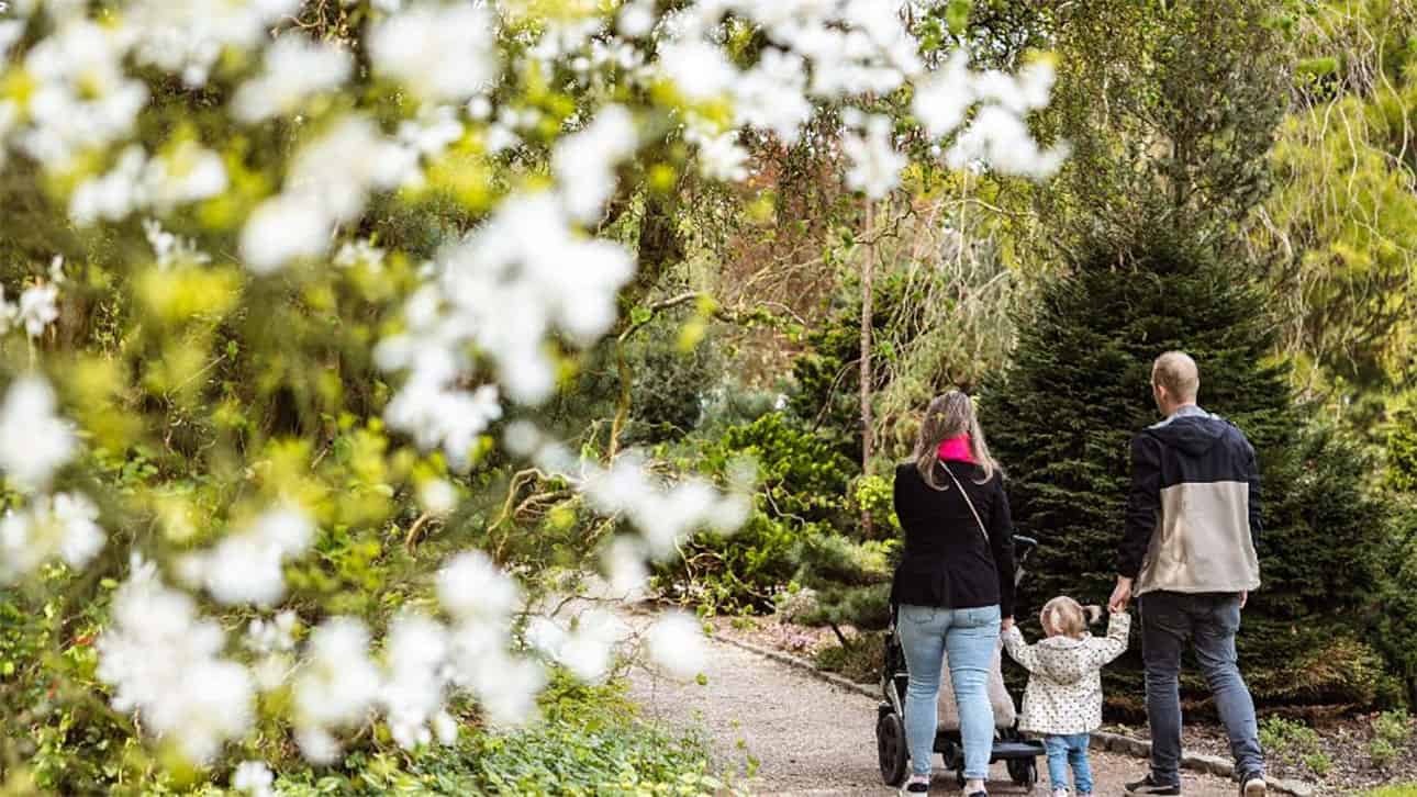 Spring has arrived at Trompenburg, with early rhododendrons, family activities, fresh garden updates and more reasons to spend time outdoors in Rotterdam.