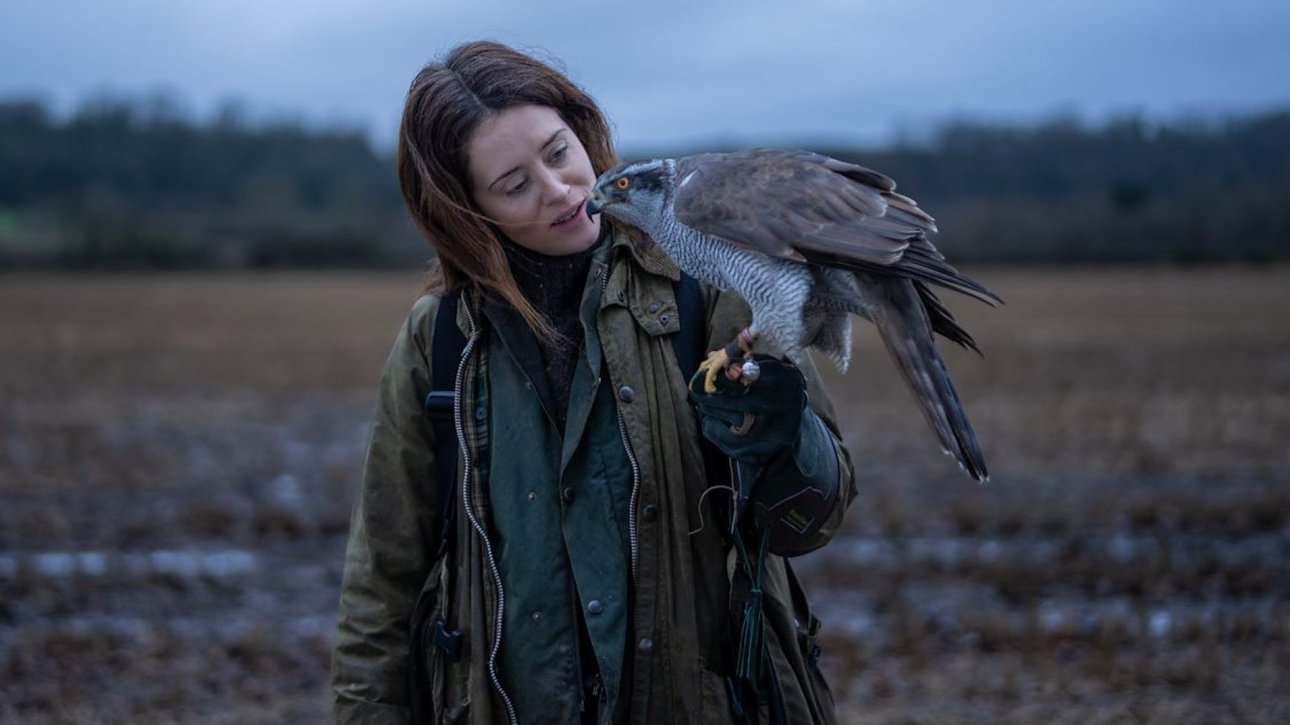 Film tip: H is for Hawk is a moving drama with Claire Foy about grief, nature, and falconry, now showing in Rotterdam.