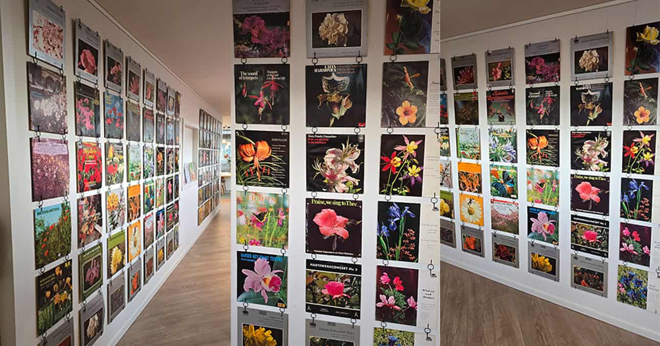 Demonfuzz Records created a vinyl-based floral artwork for the corridor, inspired by Kunsthal Rotterdam’s upcoming exhibition Flowers Forever
