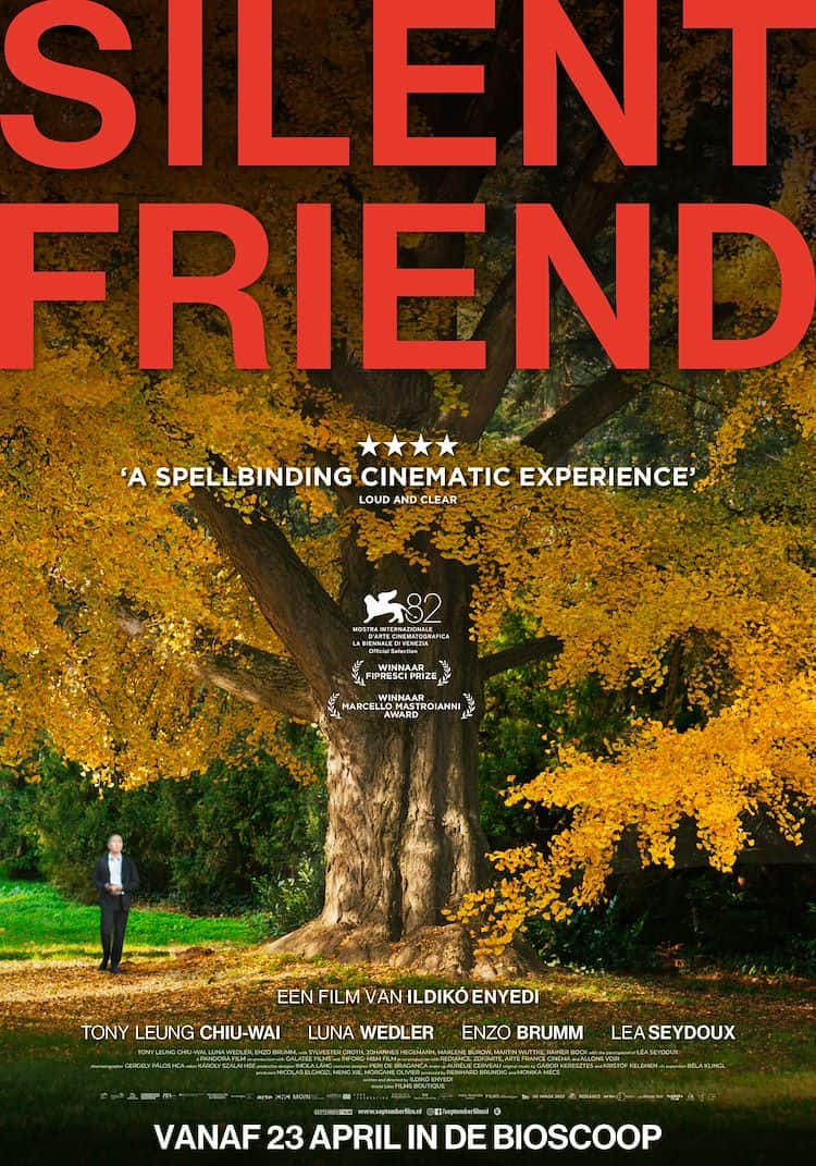 Film tip: Silent Friend is a poetic arthouse drama opening in Rotterdam, with a giant ginkgo tree, shifting timelines and quietly stunning visuals.