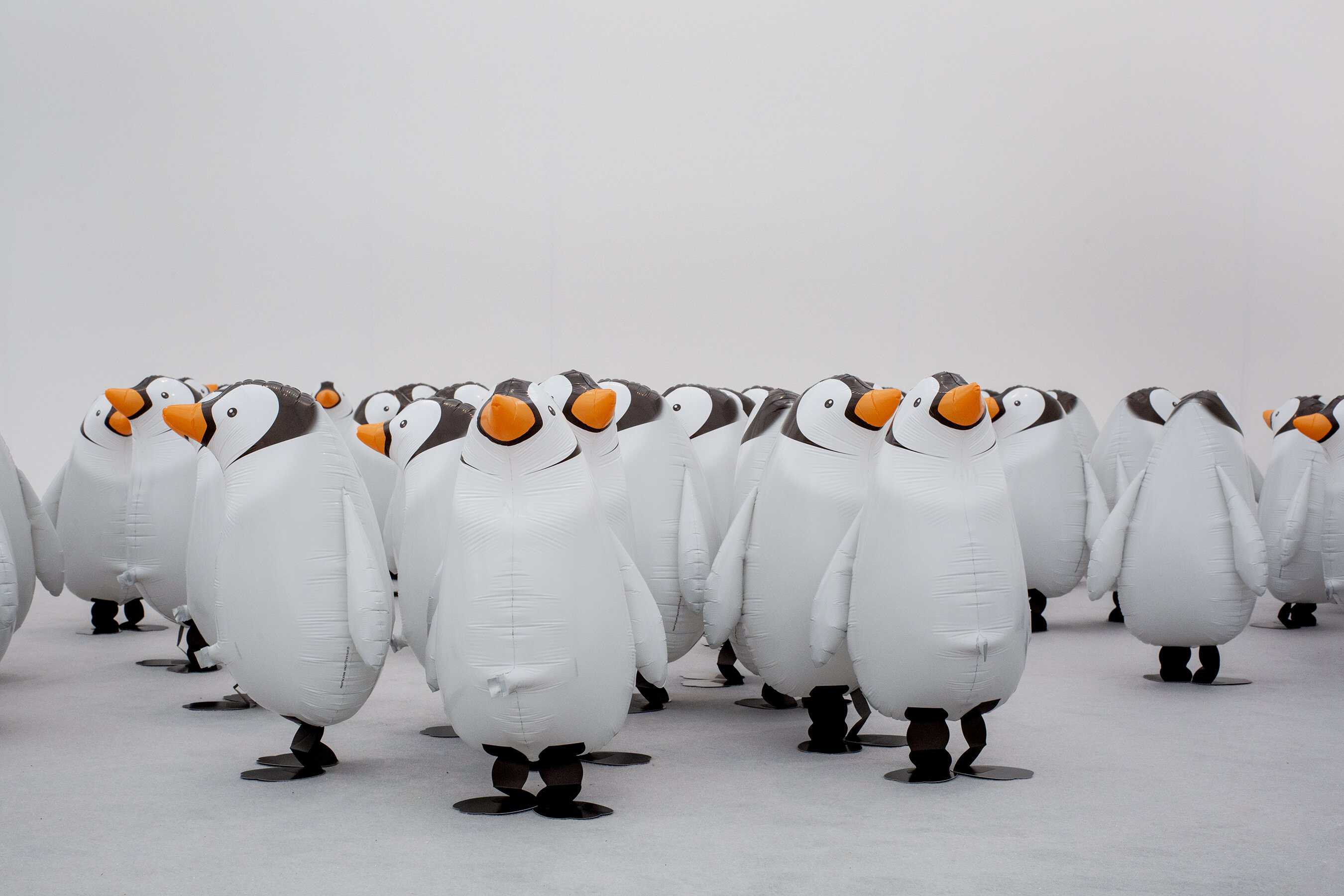 Benedikte Bjerre brings penguins to Kunsthal Rotterdam Benedikte Bjerre brings When the wind blows to Kunsthal Rotterdam, with helium baby penguins and a new climate-focused text work.