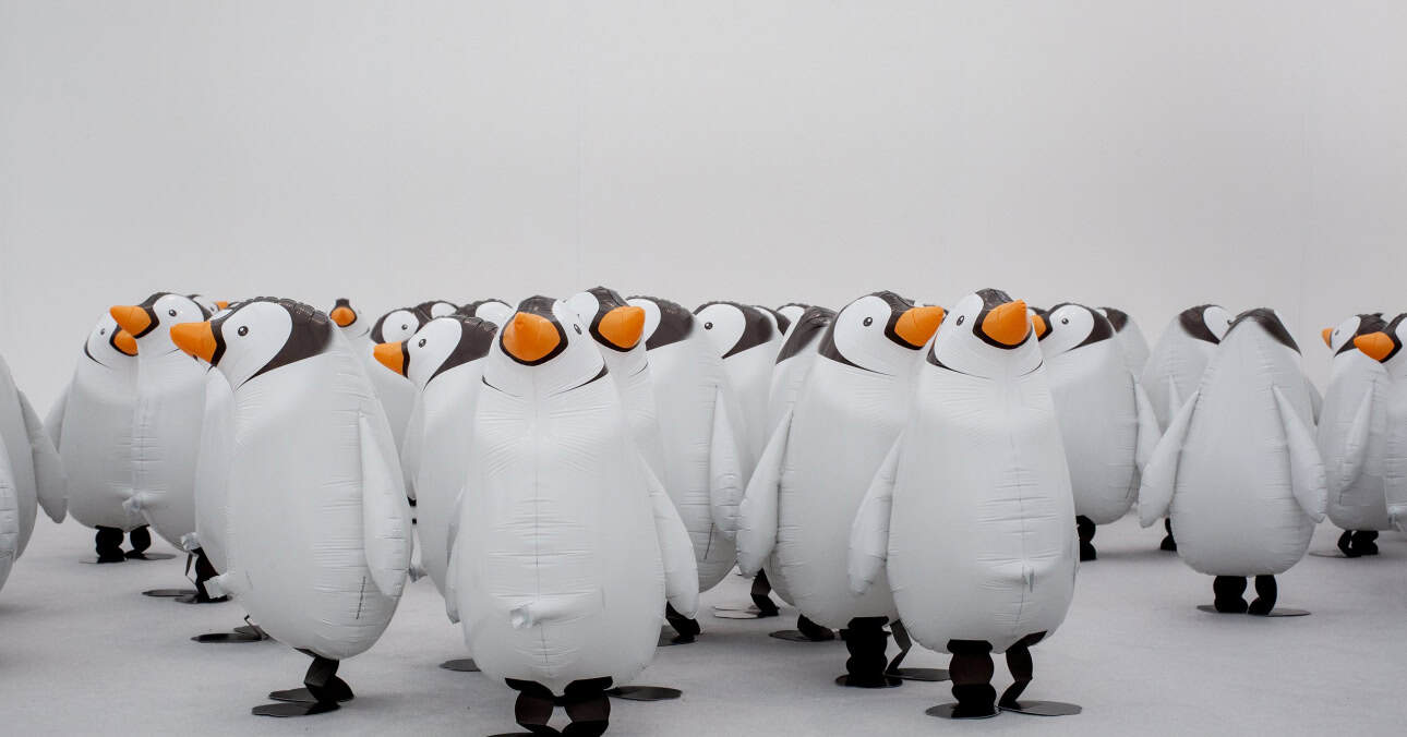 Benedikte Bjerre brings When the wind blows to Kunsthal Rotterdam, with helium baby penguins and a new climate-focused text work.