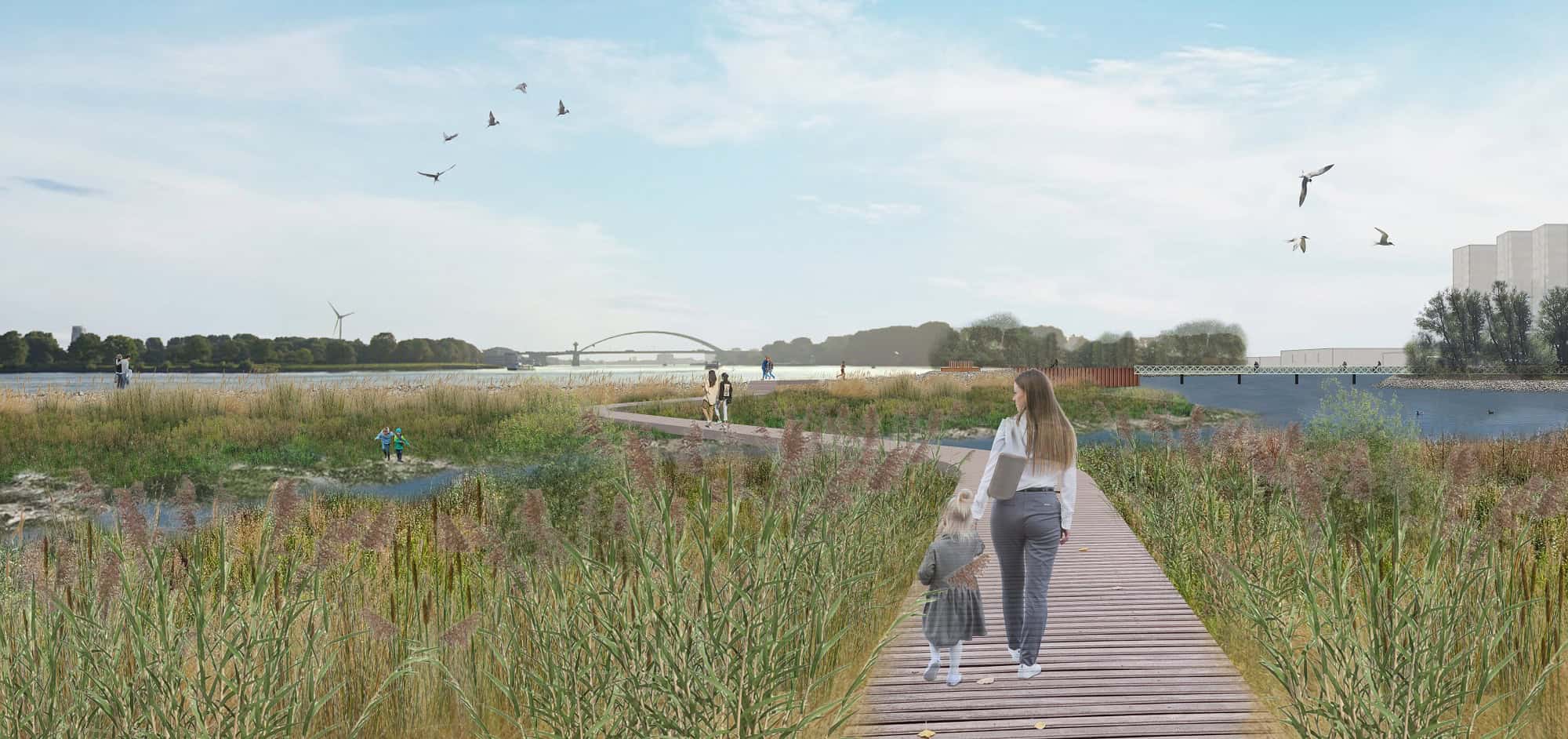 Construction has started on Getijdenpark Feijenoord, a new tidal park between Eiland van Brienenoord and Mallegat in Rotterdam-Zuid.