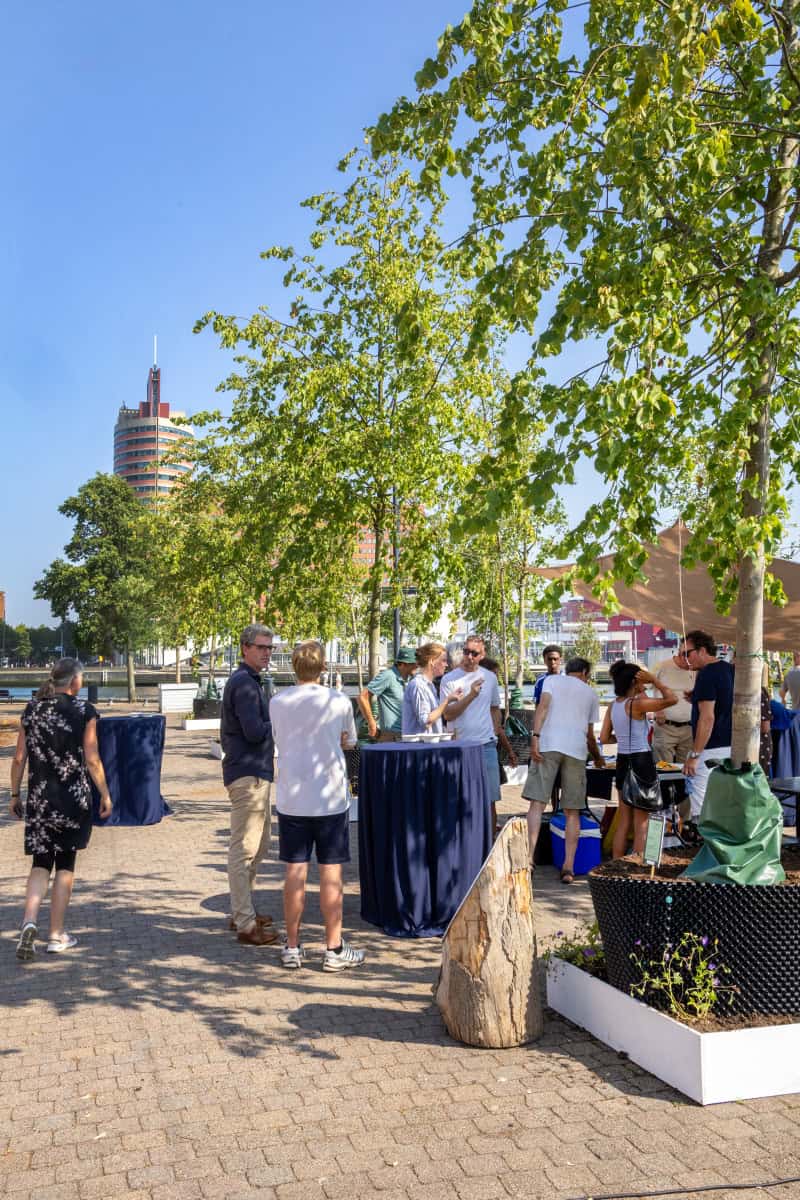 Trompenburg and Rotterdam have placed a mobile forest on Noordereiland to show how trees add shade, biodiversity and liveability.