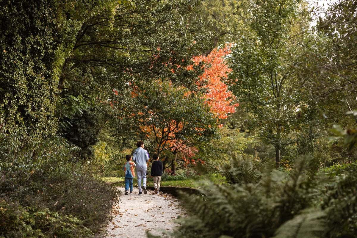 Trompenburg Rotterdam welcomes autumn with wildlife films, Kundalini yoga and a mushroom walk, including a packed programme on 21 October.