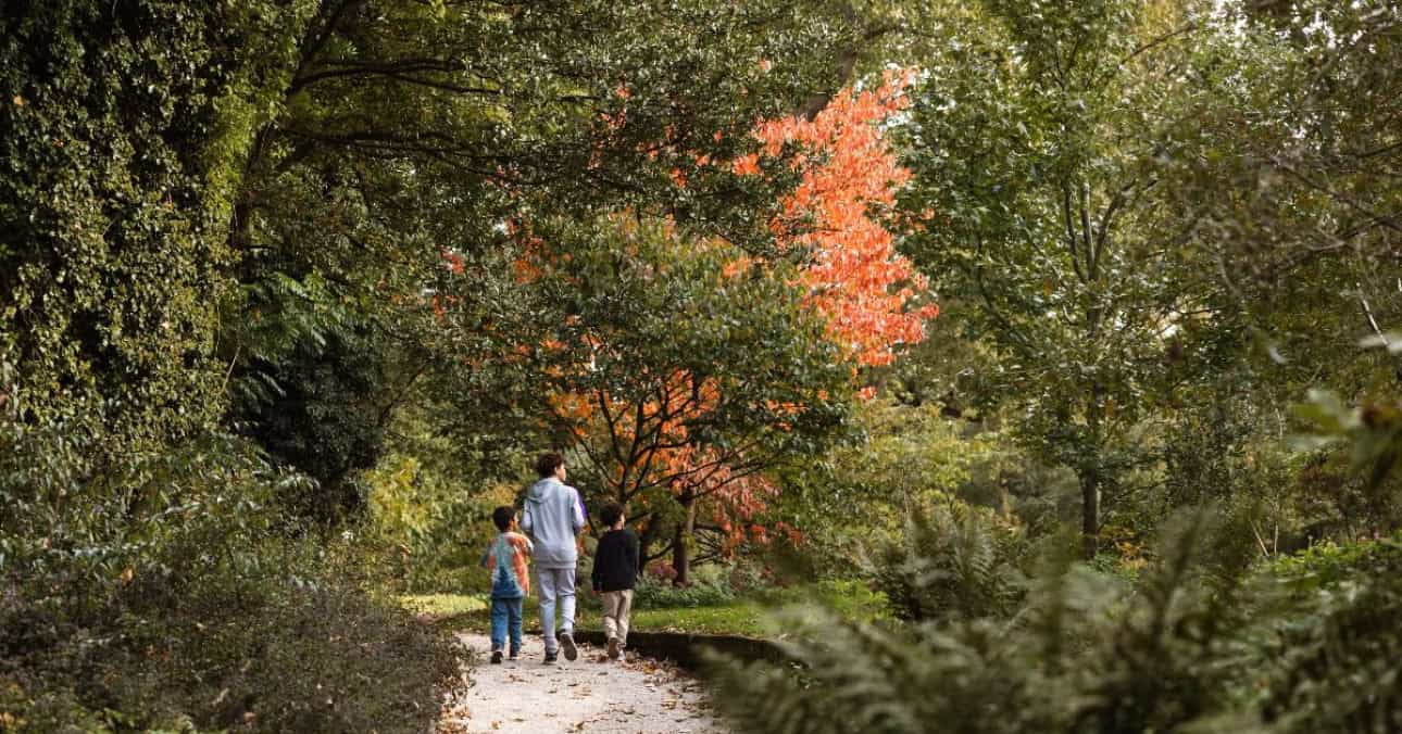Trompenburg Rotterdam welcomes autumn with wildlife films, Kundalini yoga and a mushroom walk, including a packed programme on 21 October.