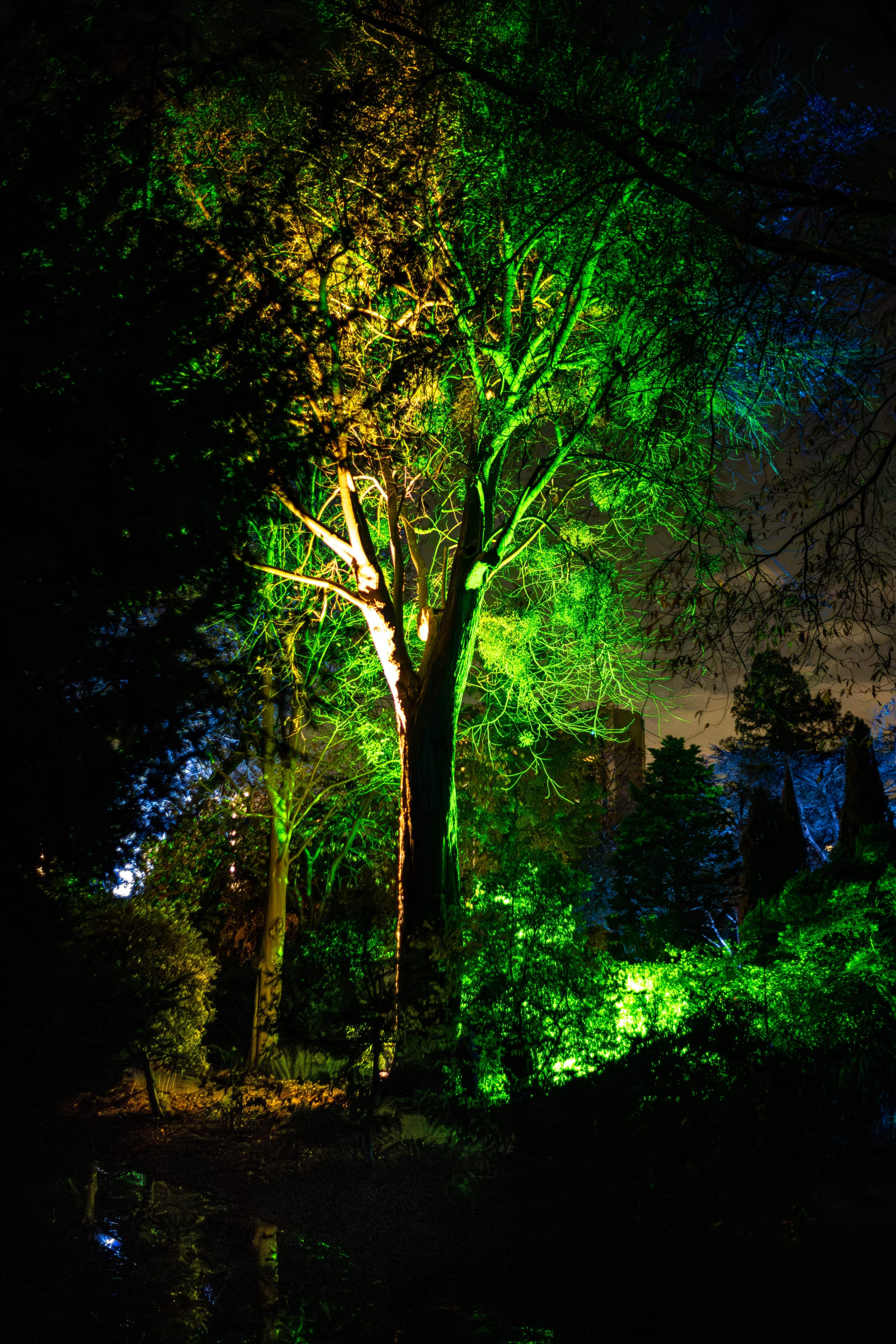 Illuminated trees and garden pathways during Trompenburg by Night in Rotterdam.