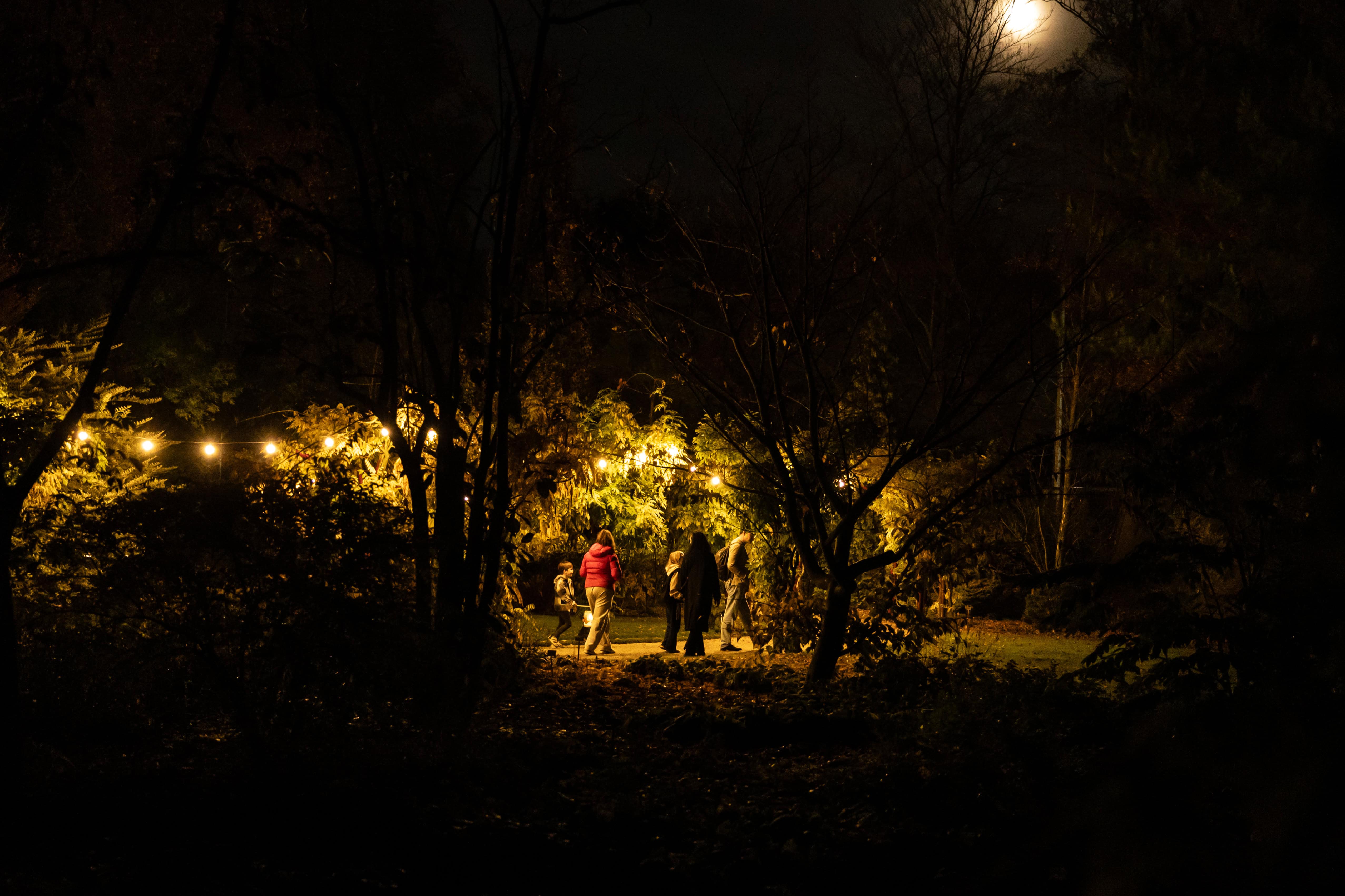 Illuminated trees and garden pathways during Trompenburg by Night in Rotterdam.