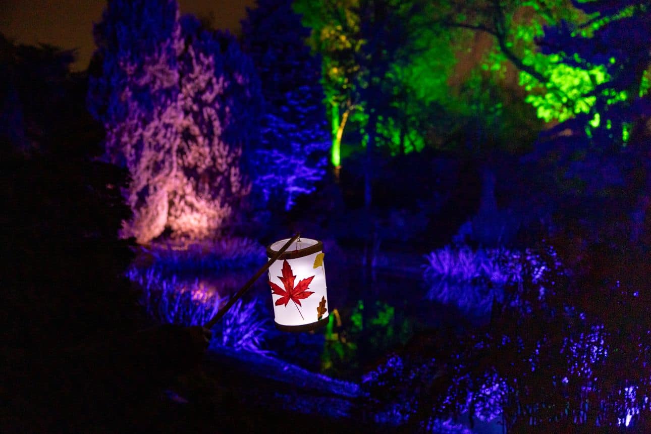 Experience Trompenburg by Night. Wander through illuminated gardens, enjoy light art, Sip & Paint, lanterns and forest bathing in Rotterdam.