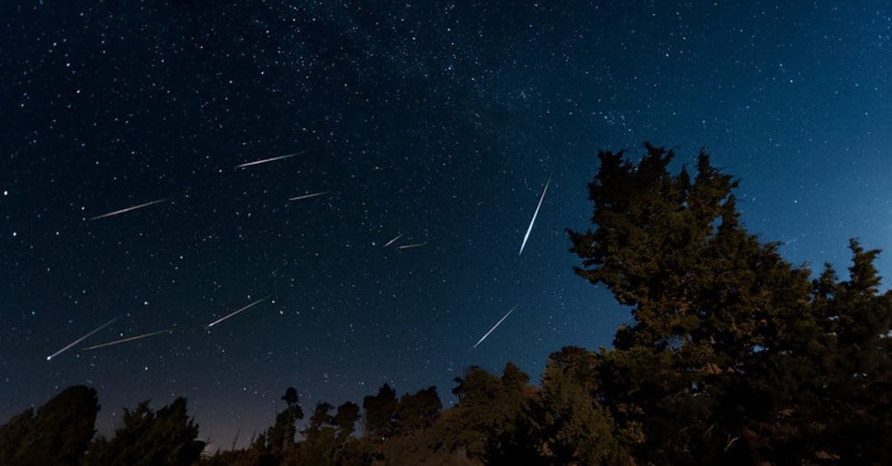 Perseid meteor shower [Tucker Hammerstrom]