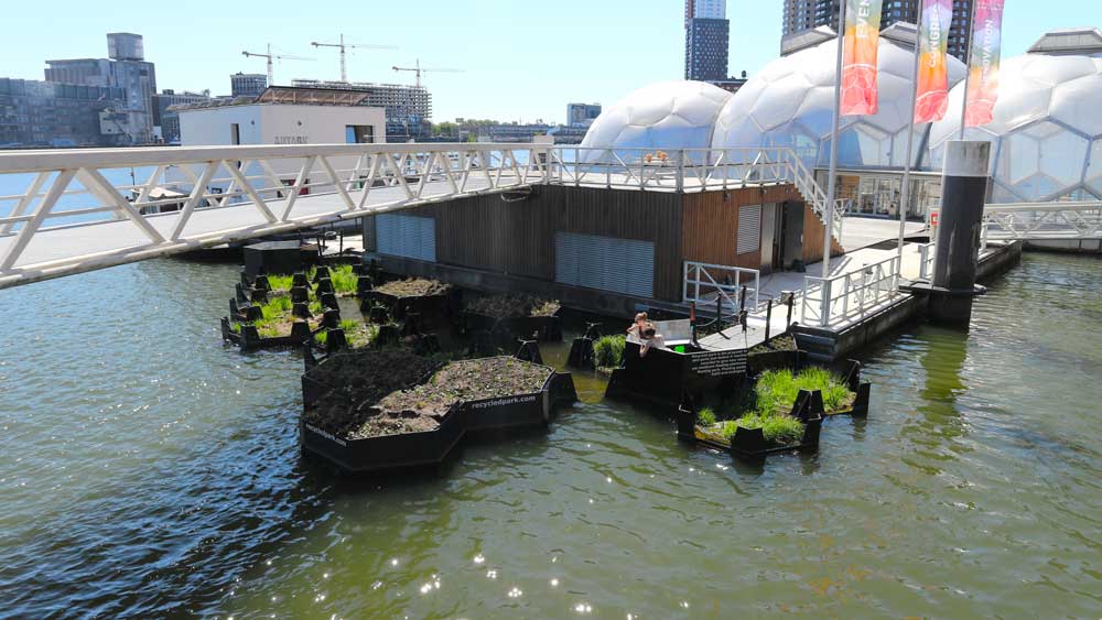 Rijnhaven Rotterdam: from plastic waste to floating city park