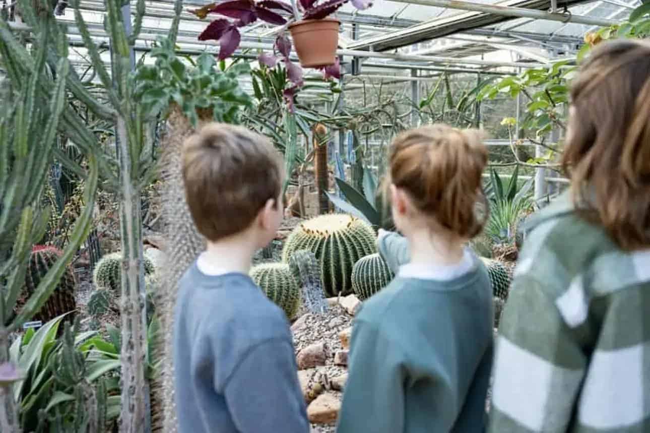 Trompenburg Rotterdam to host Cactus Festival