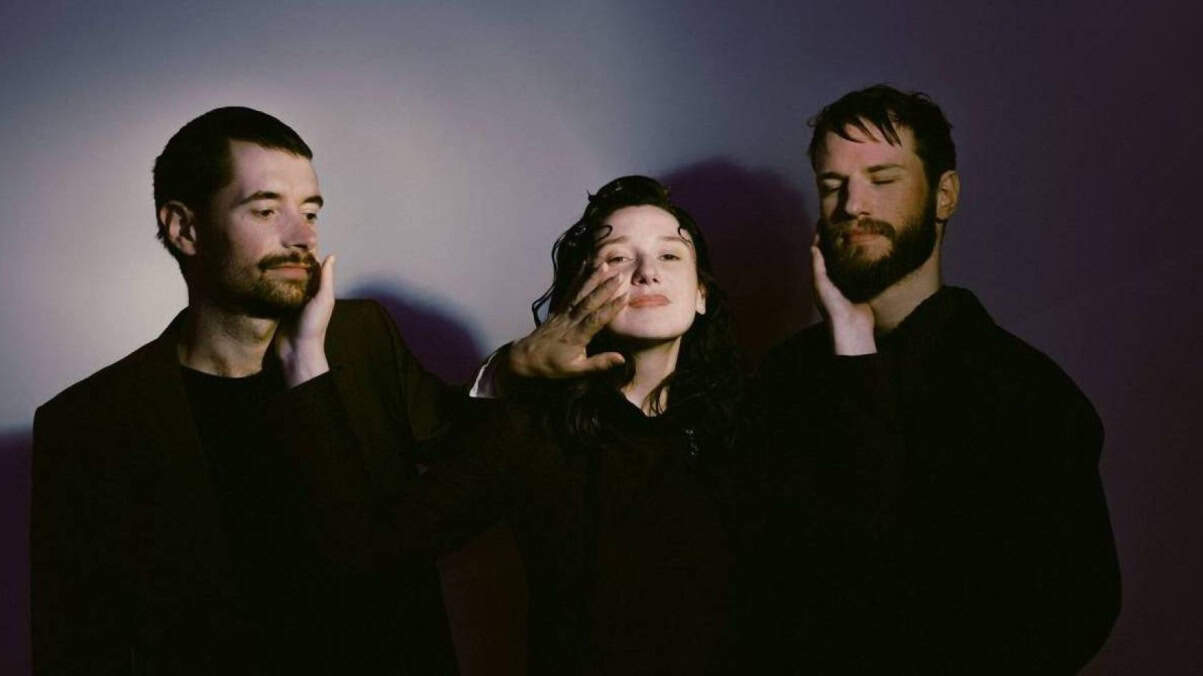 Click to enlarge Dishwasher – Anemoia