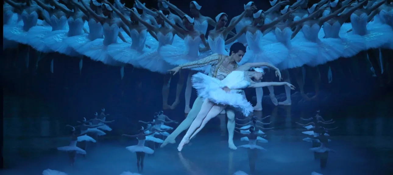 The world's biggest Swan Lake